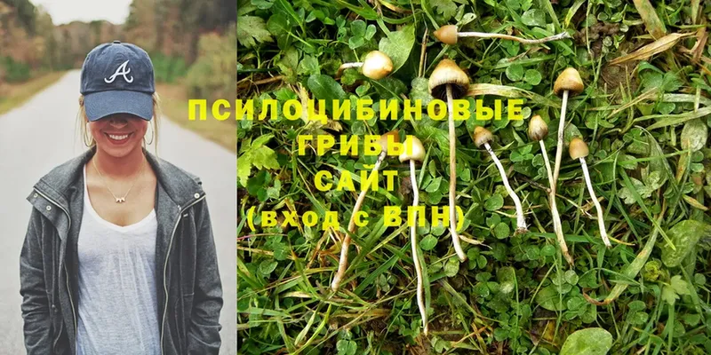 Псилоцибиновые грибы MAGIC MUSHROOMS  цены   Алапаевск 